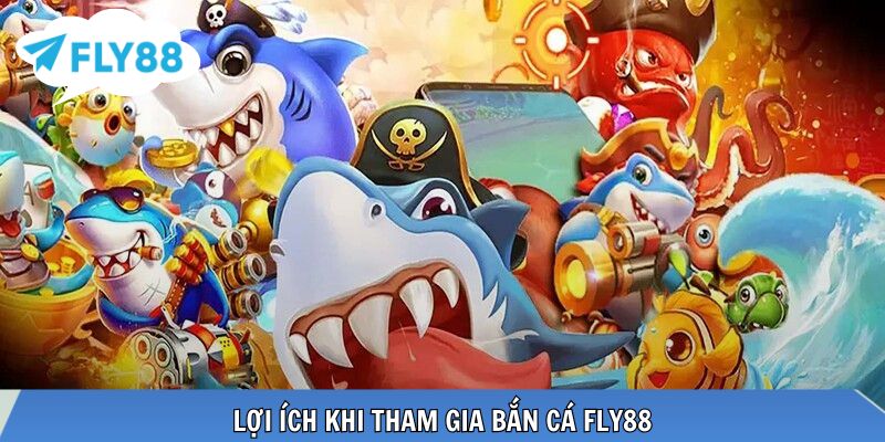 Trải nghiệm săn cá sống động và phần thưởng hấp dẫn