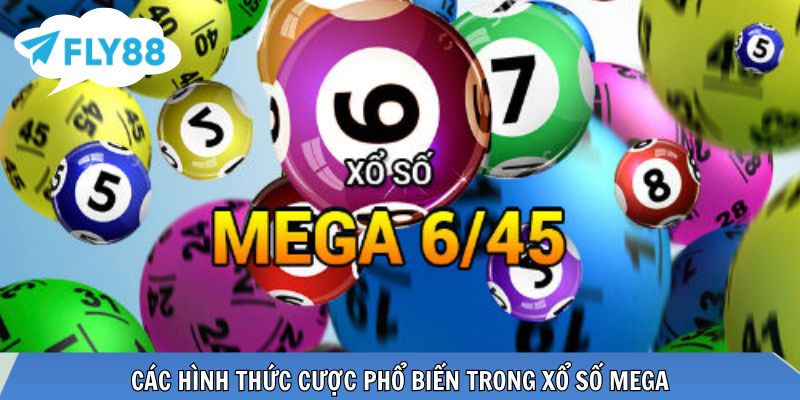 Cách Chơi Xổ Số Mega – Hướng Dẫn Cơ Bản Đến Thực Chiến Hiệu Quả Đa dạng lựa chọn cược phù hợp nhiều chiến lược