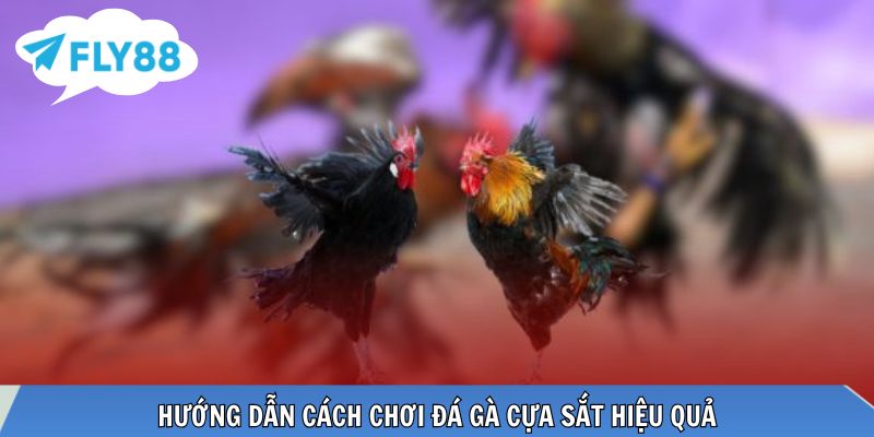 Nắm vững cách chơi để nâng cao tỷ lệ chiến thắng