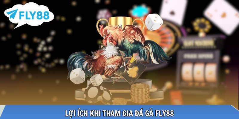 Tham gia đá gà nhận thưởng và trải nghiệm sống động