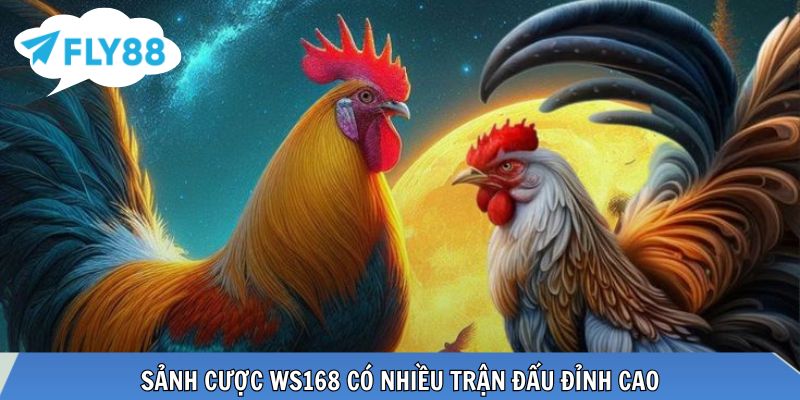 Sảnh cược WS168 có nhiều trận đấu đỉnh cao