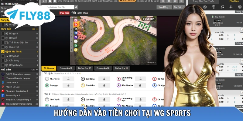WG Sports FLY88 - Sảnh Cược Hấp Dẫn Với Khoản Thưởng Lớn Các bước nạp tiền và đặt cược nhanh chóng