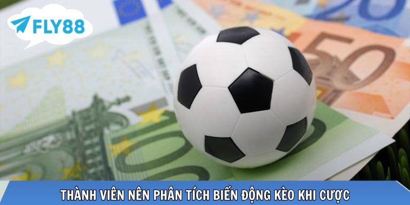Thành viên nên phân tích biến động kèo khi cược