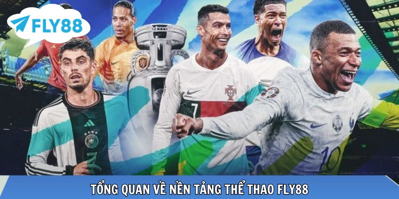 Không gian thể thao trực tuyến ổn định, tập trung vào dữ liệu