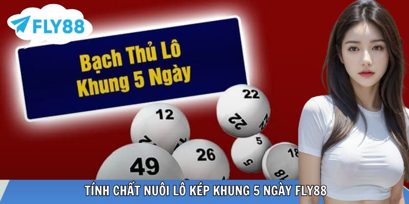 Nuôi Lô Kép Khung 5 Ngày – Chiến Lược Theo Chu Kỳ Hiệu Quả Tại FLY88 Minh họa chu kỳ lô kép năm ngày