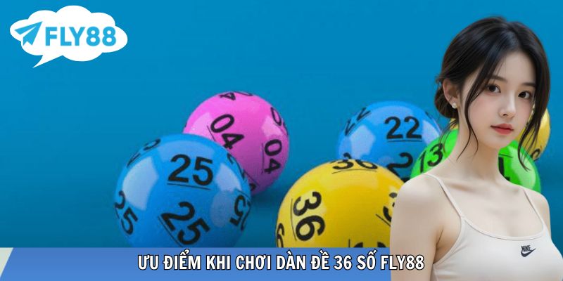 Theo dõi hiệu quả dàn đề hàng ngày